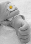 Baby/Newborn